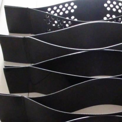 Flexible HDPE Geocell for Gravel Parking and Soil Stabilization Modern Outdoor