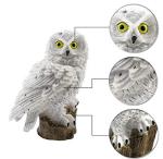 450mm Solar Powered Owl Garden Lights