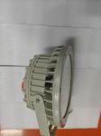 100W/200W Bay LED Lighting Fixture IP66 for Oil/Gas Petrochemical Industry