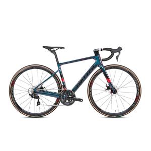 China STEALTHpro Carbon Fiber Road Bike Holographic Color Sram RIVAL 22 Speed Disc Brake alloy Wheel factory