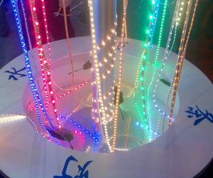 China DC12V, RGB, 120 degrees viewing angle, Flexible LED Strip Lights pass CE ROHS factory