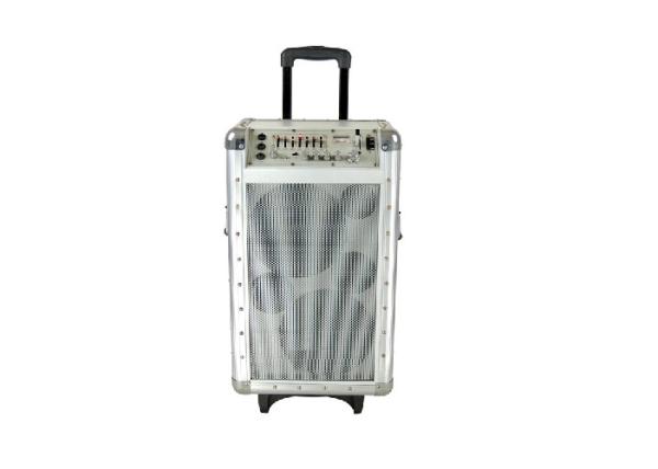10'' Portable Trolley Speaker Subwoofer Audio DJ Trolley Speaker Box For Disco