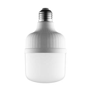 China B22 E14 E27 High Power T Bulb 5W 10W 15W 20W 28W 36W LED Bulb For Indoor factory