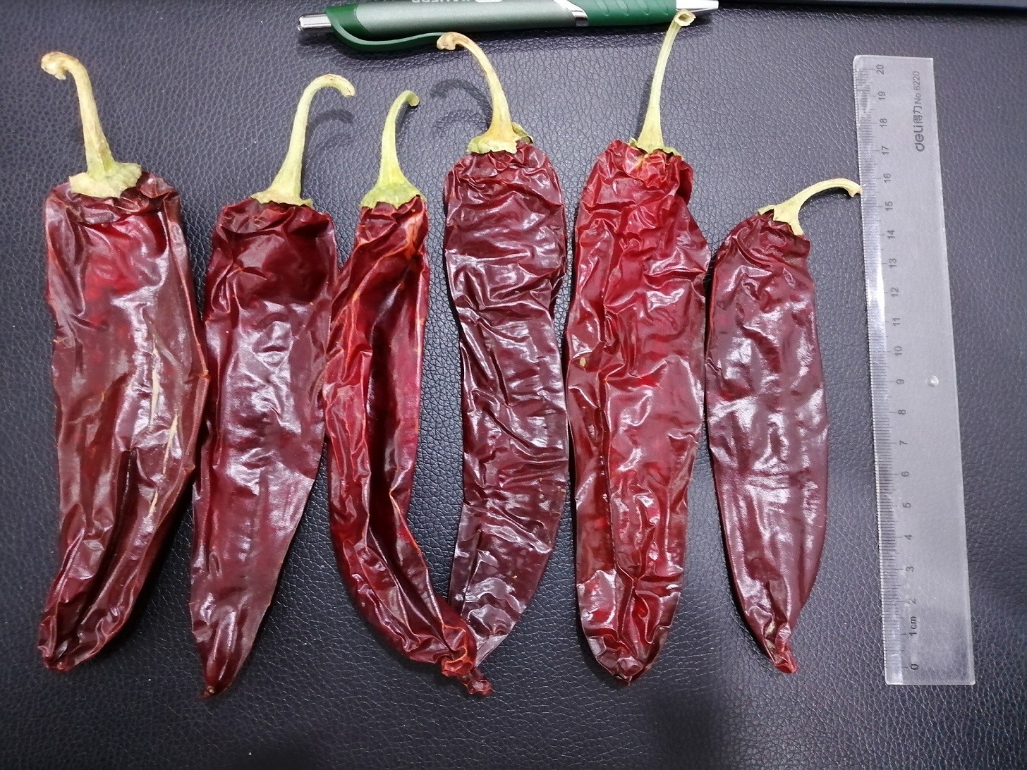 10-15cm Grade A Red Jinta Chilli Pepper 50BLS Bags Packaged