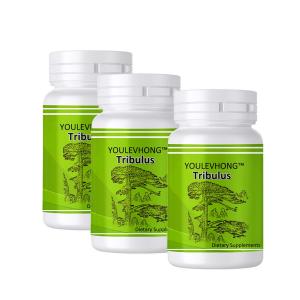 China Dietary Supplement Natural Health Beauty Pills Tribulus Terrestris Capsules 95% Purity 90-Count factory