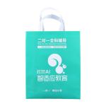 Supermarket PP Non Woven Grocery Bags 50Gsm Eco Friendly