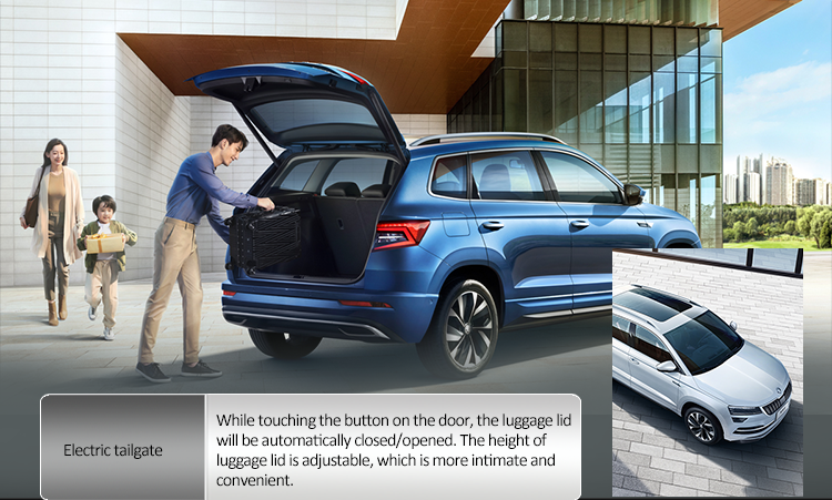 Buy SKODA KAROQ Used Cars Online 2023 Selling Vehicle Marketplace with Gasoline Engine and Left Hand Drive