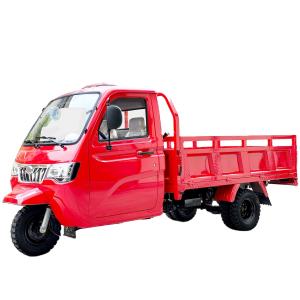 China Sell 250cc High Power Handicap Closed Body Cargo Tricycle with 1000kg Loading Capacity factory