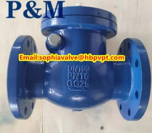 China DN100 PN16 GG25 cast iron swing check valve factory