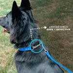Silicone Half Chain Pet Dog Collar For No Pull Dog Walking And Pet Training
