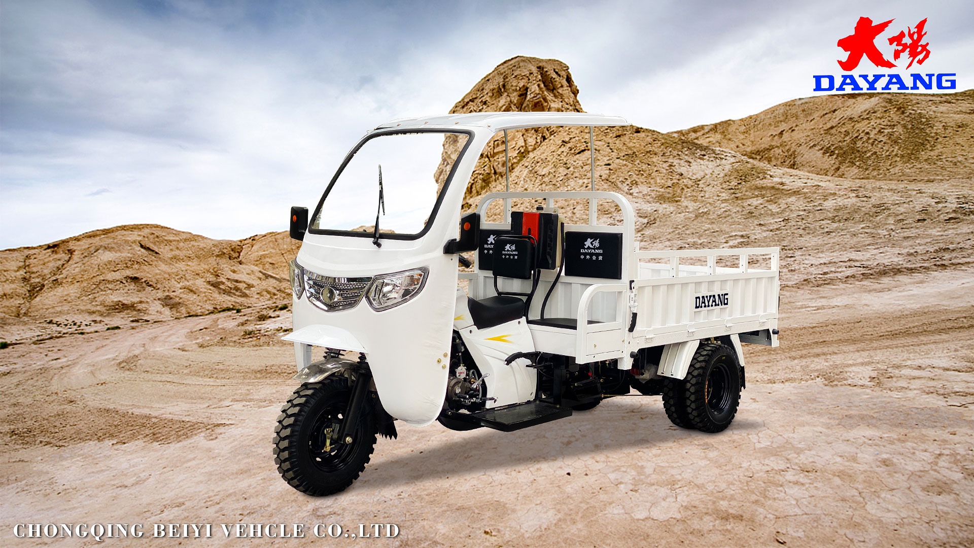 Standard Size 3 Wheel Gasoline 200cc/250cc/300cc Motorcycle Engine Cabin Cargo Tricycle