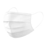 3 Ply Cleanroom Disposable PP Non Woven Face Mask