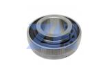 Insert Bearings LY 310 3L Japan Nsk Ball Bearing For Woodworking Machinery