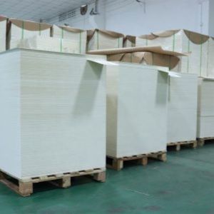Hot Sale Food Grade Single Double PE Coated Paper Sheet