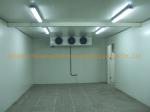 Fireproof PU Insulation Panel 100mm/120mm/150mm for Walk in Freezer Cold Storage