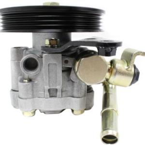 China 21G72145 Power Steering Pump for Nissan Maxima A31 A32 Perfect Replacement factory