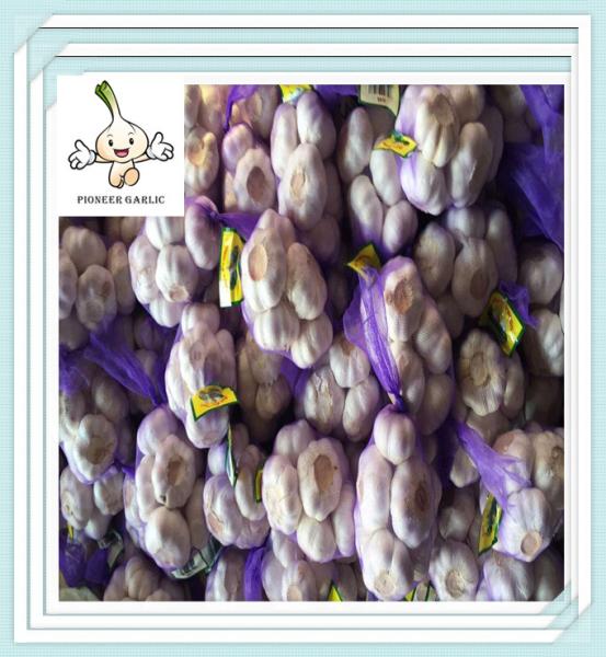 Perfect Quality Chinese Fresh Natrual Garlic New Corp Grade a Wholesale China