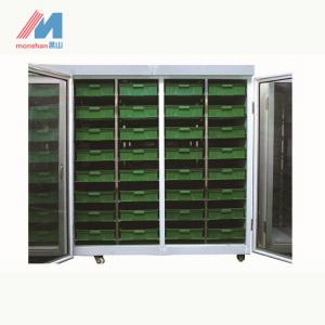 Daily 200kg Sorghum Fodder Sprouting System ODM Seed Germination Machine