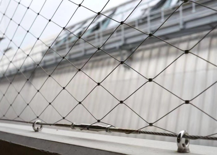 Ferruled Mesh Aviary Rope Netting with Weather Resistant and High Strength Stainless Steel Wire Rope Mesh