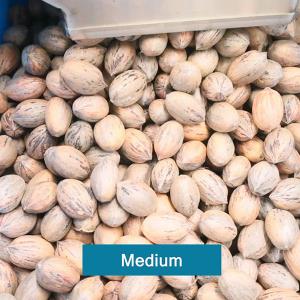 1-2 Tons Capacity Pecan Sorting Machine 8 Exits With CE Certificate 380V