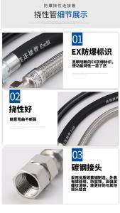 China ATEX Certified Explosion Proof Conduit Corrosion and Chemical Resistant for Hazardous Environments factory
