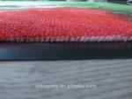 Cut pile printed 3D polyester door mat for home ,office