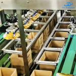 Custom Bag Carton Packer Machine , Stainless Steel Carton Case Packer 5.5KW