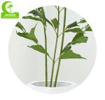 No Nursing Silk Artificial Tree
