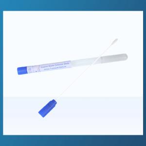 China Disposable Sampling Tube Stool Fecal Collection Kit OEM ODM Anal Swab factory