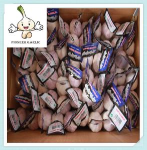 China 2016 China natural Fresh Pure white garlic fresh white garlic factory