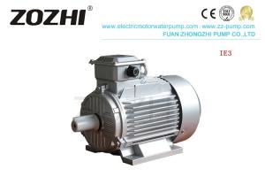 China S1 Duty IE3 5.5KW IP55 Three Phase Asynchronous motor factory