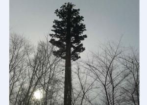 China Camouflaged Bionic Pine Palm Tree Monopole Tower factory
