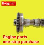 BOIGEVIS intake camshaft 06J109021H suitable for FAW Volkswagen CC
