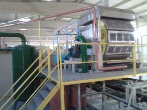 China Recycled Tray Making Machine , Molding Egg Tray Forming Machine factory