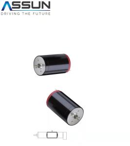 China DC Coreless Brush Metal Motor6V12V24V36V48V Coreless DC Brush Motor L42mm D22mm factory