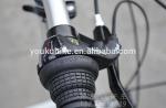 Portable Carbon Fiber 20 Inch Folding Mountain Bike