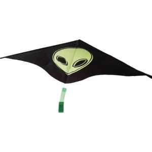 China Single Line 135*65cm Easy Carry Delta Wing Kite Woven Roving Material factory