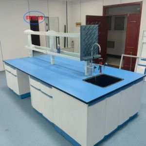 China Customizable Made Environmental Monitoring Station Lab Furniture with Drawer factory