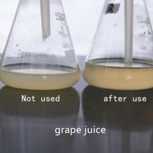 Customized Enzyme Activity Pectinase Fruit And Vegetable Enzymes