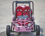 Foot Brake Operation Go Kart Buggy 4 Stroke CTV Electric Start Automatic With