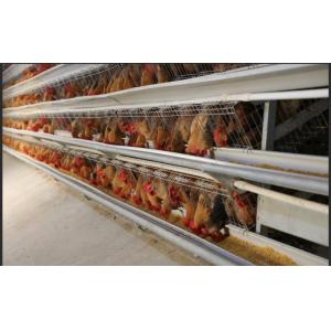 Stable And Durable Prefabricated Steel Structure Poultry Farm Building