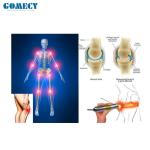 Portable 980nm 1470nm Diode Laser Body Slimming Equipment 47W