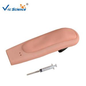 China Wearable Intramuscular Injection 8kgs Medical Training Model factory