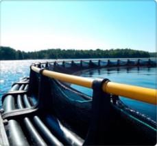 China HDPE Aquaculture AS/NZS4130 Fish Farm Equipment factory