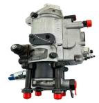 OEM Engine Diesel Fuel Injection Pump 9320A211G / 9320A217G / 9320A217G