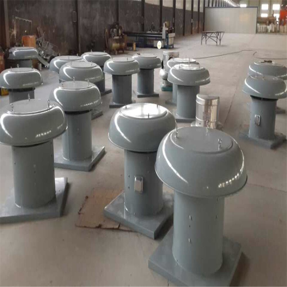Plastic Blade Roof Mounted Centrifugal Fans for Residential and Industrial Ventilation