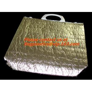 Double Bottle Insulation Breastmilk Cooler Bag Insulated Lunch,backpack beer