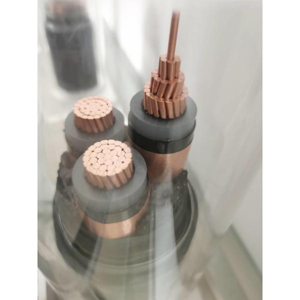 Circular Conductor Shape Crosslinked Polyethylene Insulated Cable The Ultimate