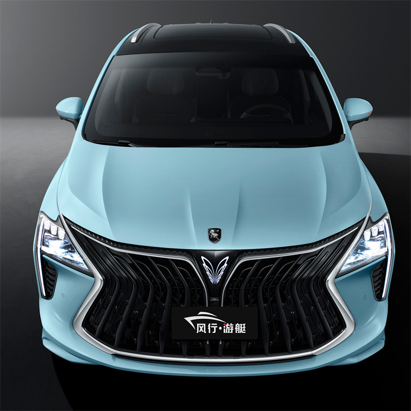 DCT Gearbox and Strong Power 's Latest MPV Motor Power Battery Vehicle M4 HEV with Customization Options from Leading Supplie