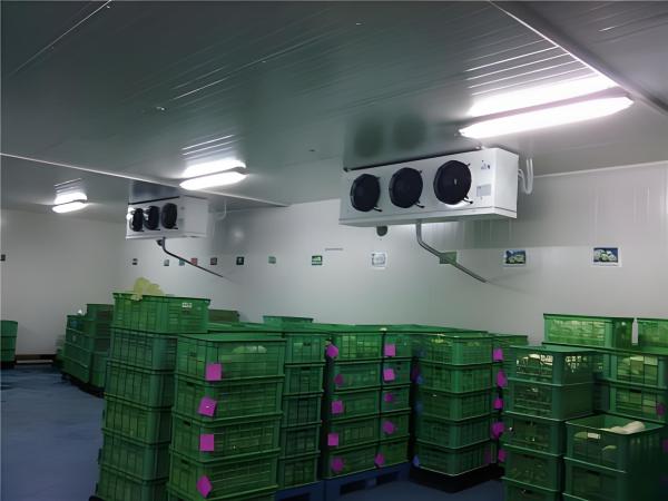 Polyurethane Foam Insulation Freezer Room And Cold Room For Pharmaceutical